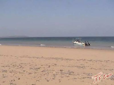 5184-extra-image_6