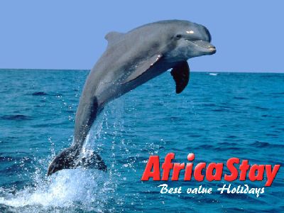 5209-extra-image_3