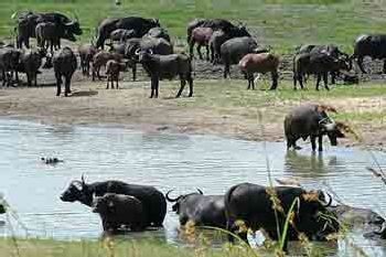 7587-extra-image_6