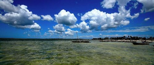7729-extra-image_6