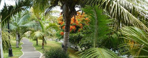 7878-extra-image_6