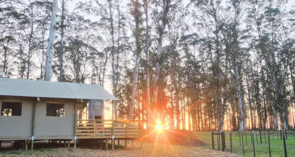 AfriCamps at Oakhurst 10