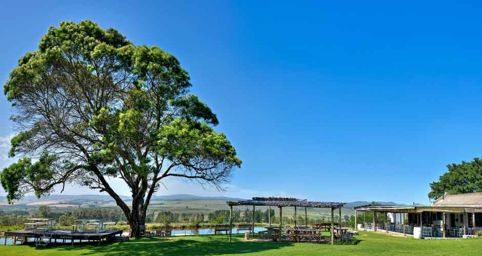AfriCamps at Stanford Hills 06