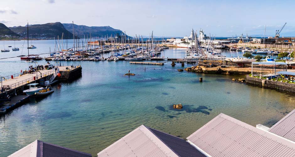 aha Simons Town 10