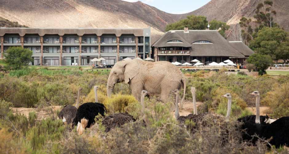 Aquila Private Game Reserve 03