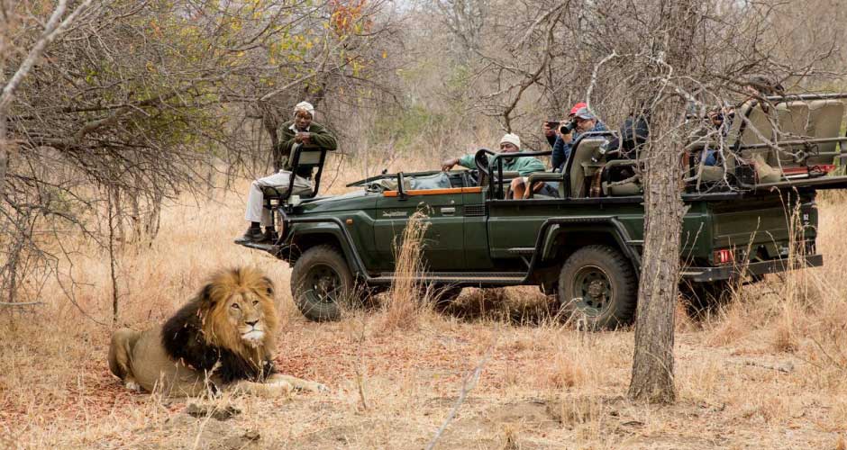 Becks Safari Lodge 07