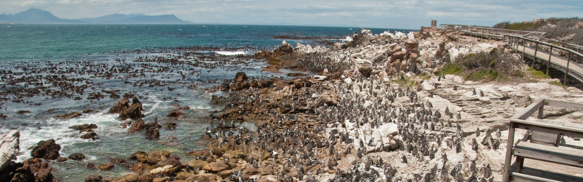 Betty's Bay