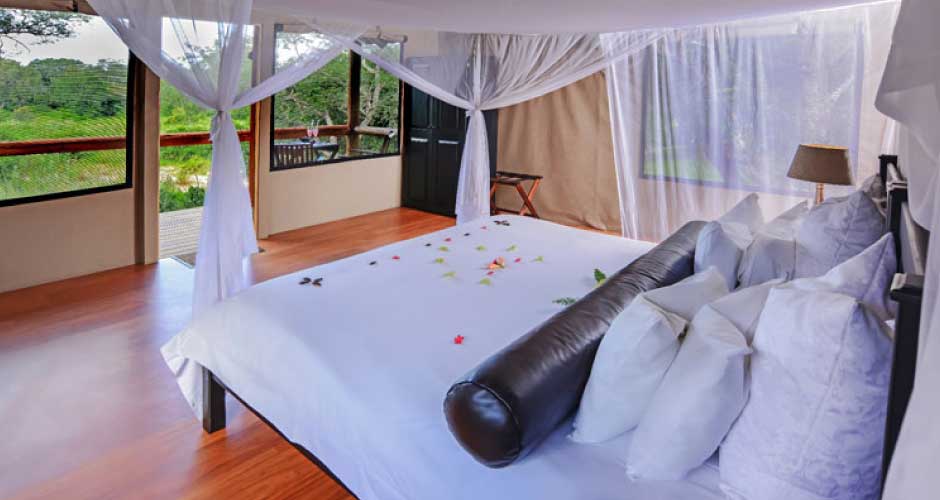 Chisomo Safari 06