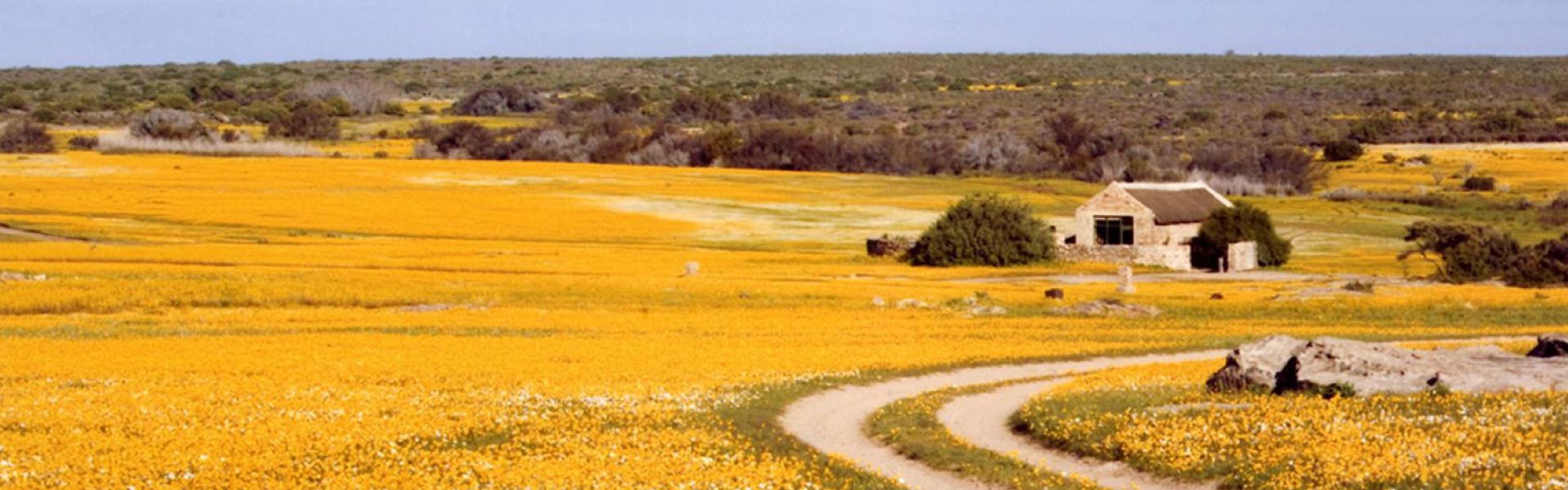 Colesberg