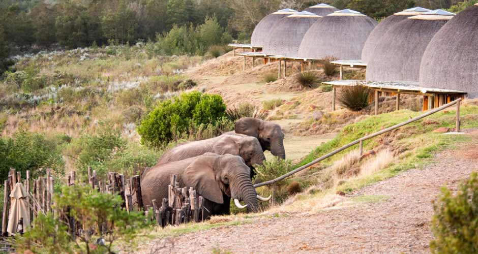 Gondwana Game Reserve Kwena Lodge 09