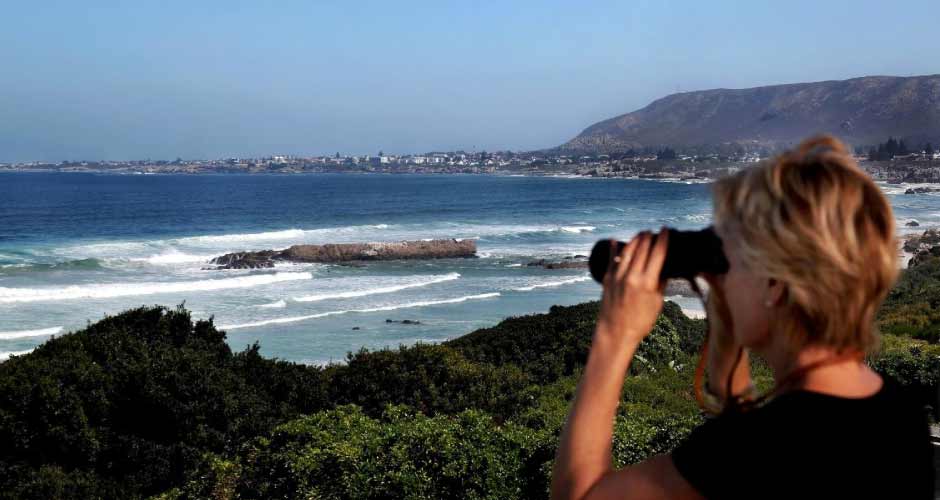 Hermanus Beach Villa 10