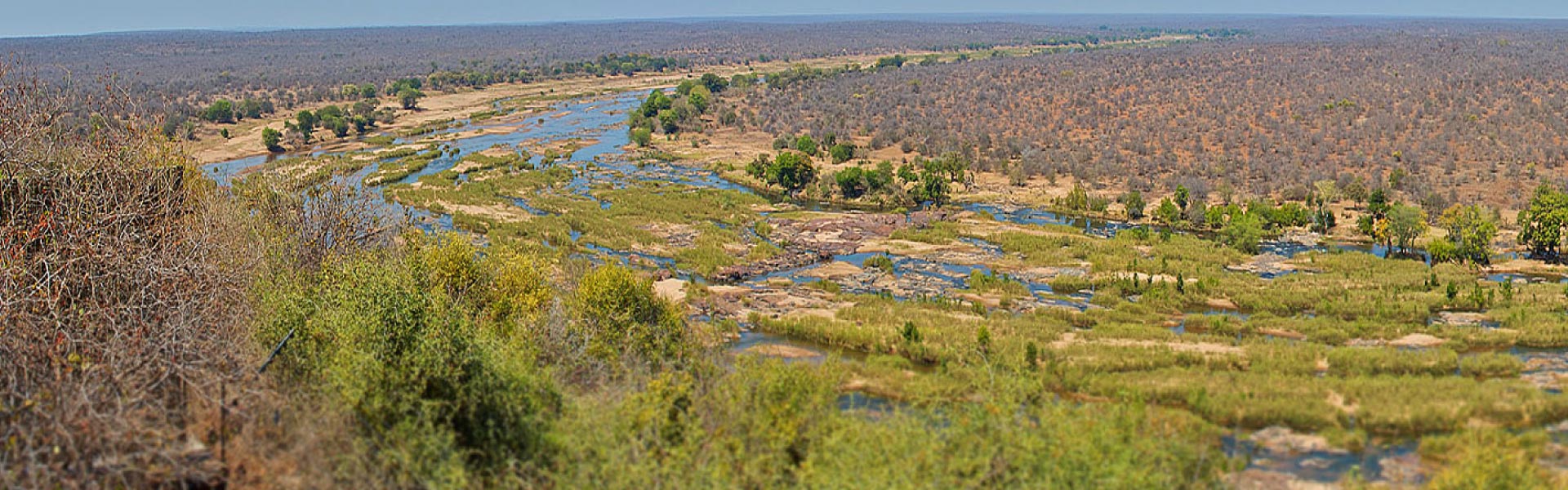 Louis Trichardt