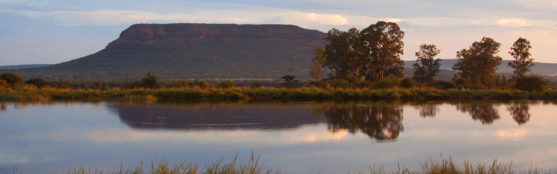 Nylstroom