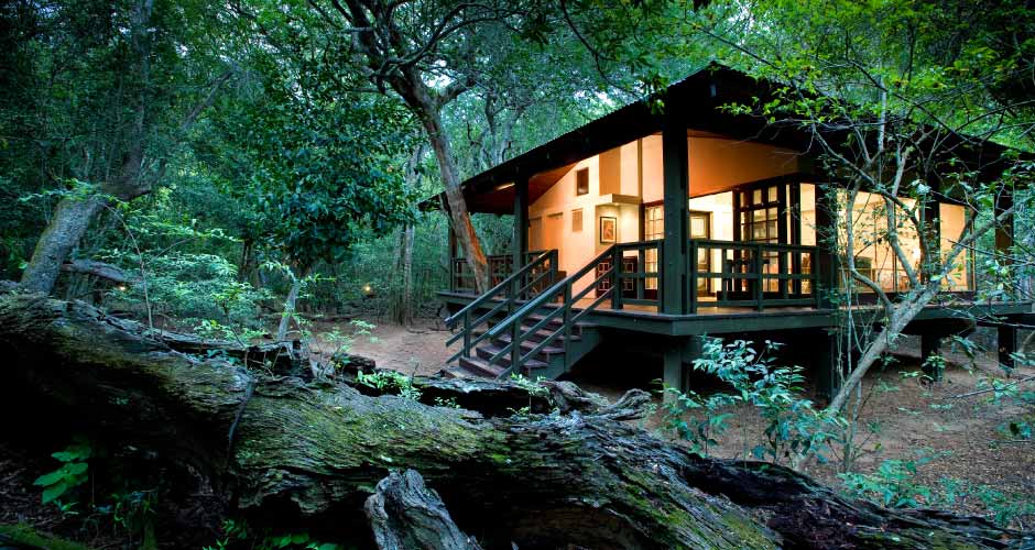 Phinda Forest Lodge 05