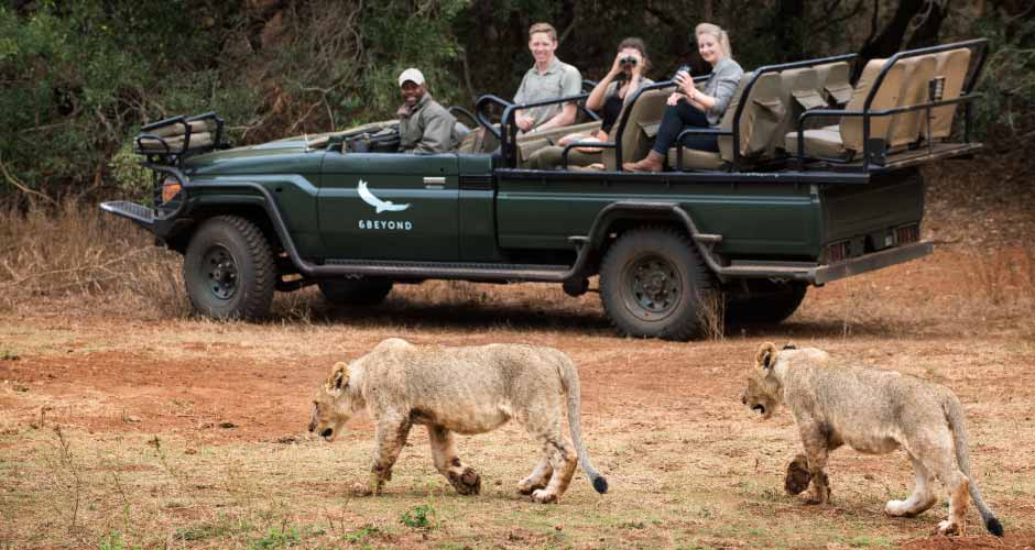 Phinda Mountain 10
