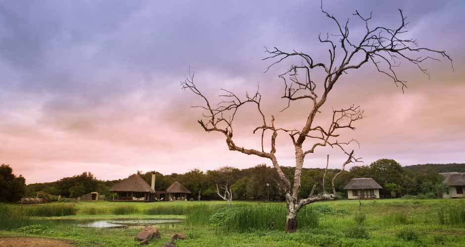 Phinda Zuka Lodge 07