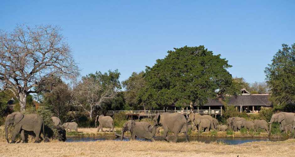 Sabi Sabi Bush Lodge 09