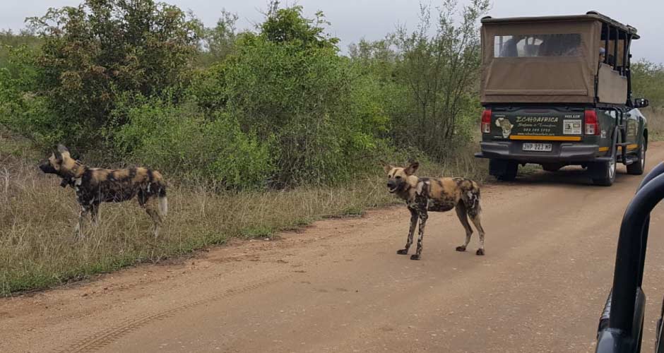 Shalati Kruger Lodge 04