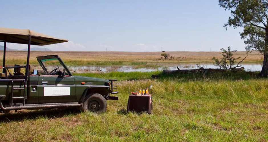 Springbok Lodge 07